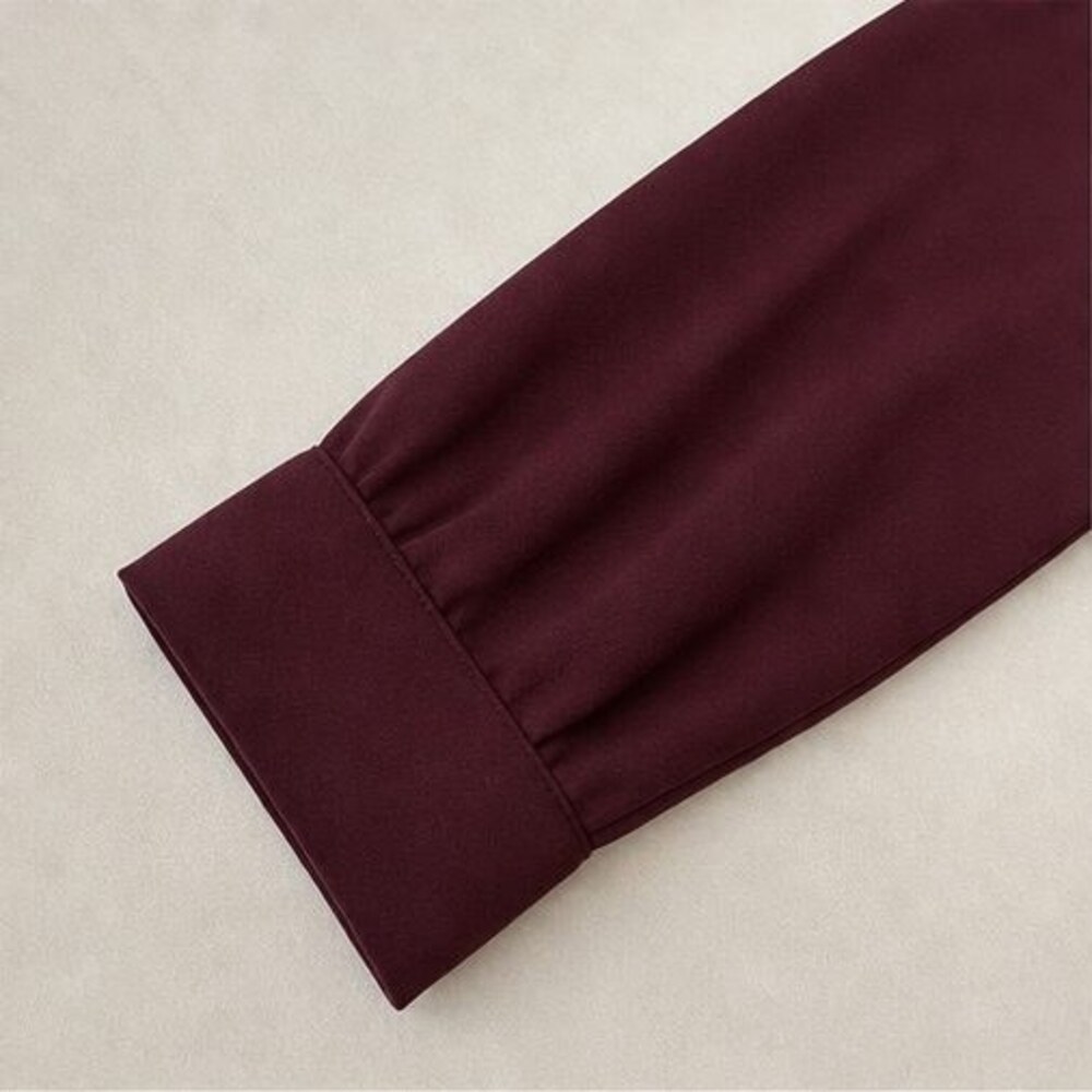 Burgundy Ruffle Blouse - Picture 5 of 6